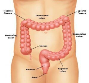 Anal Fissure Repair