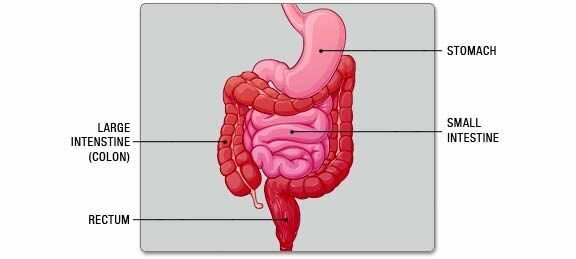 choosing-the-right-treatment-for-anal-fissures